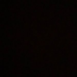 Meet your Posher, Lydia